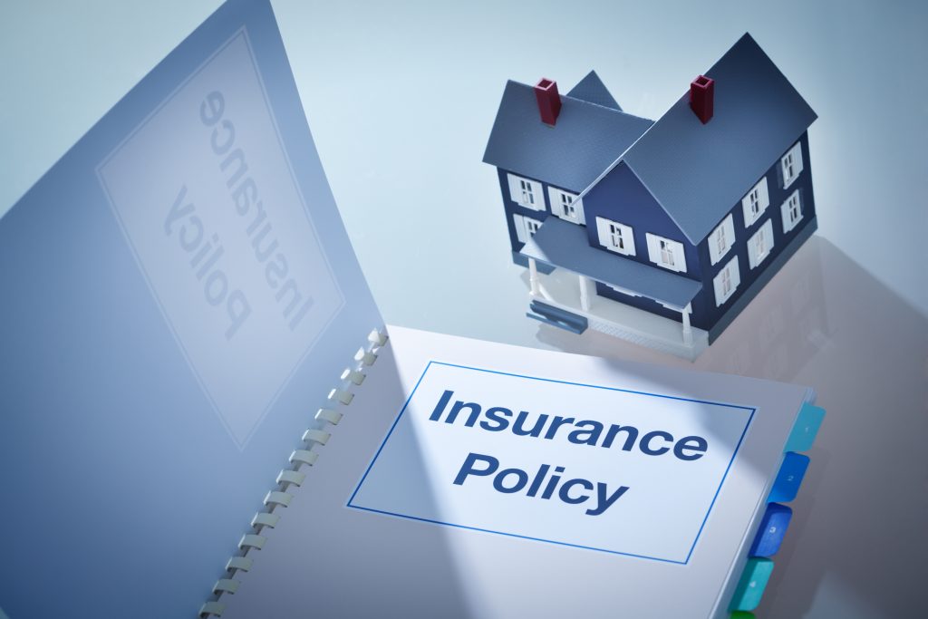 We understand your insurance policy, Our Services